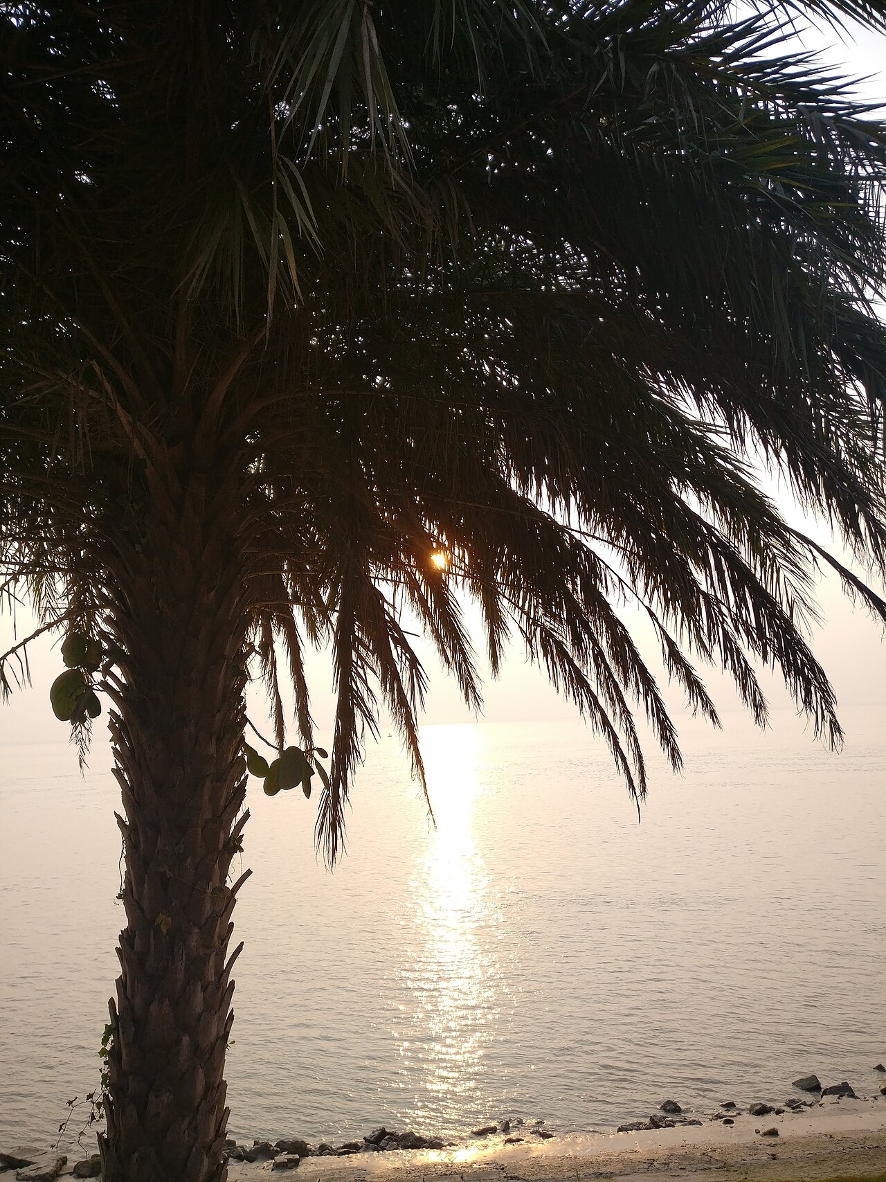 Ganges