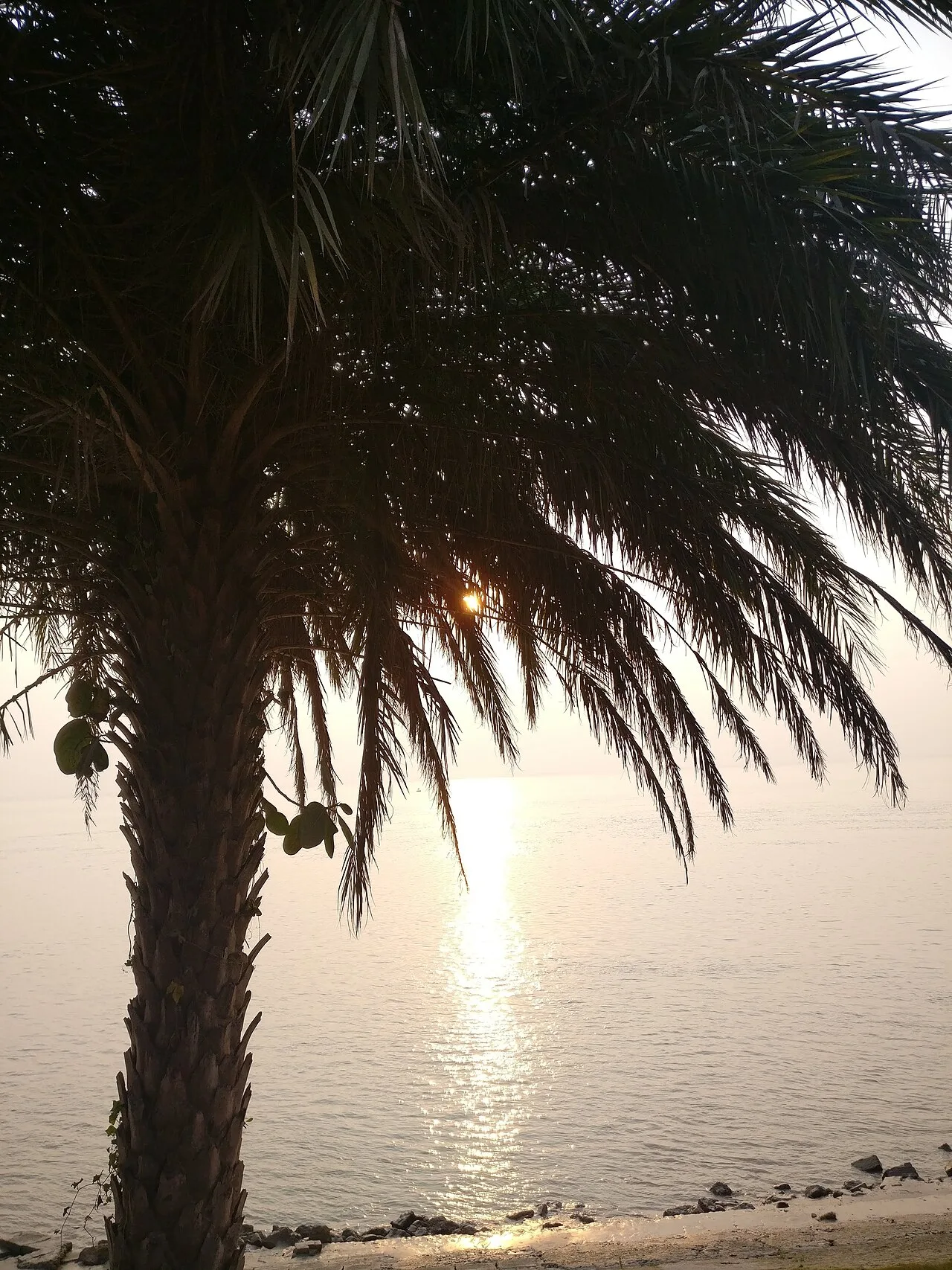 Ganges