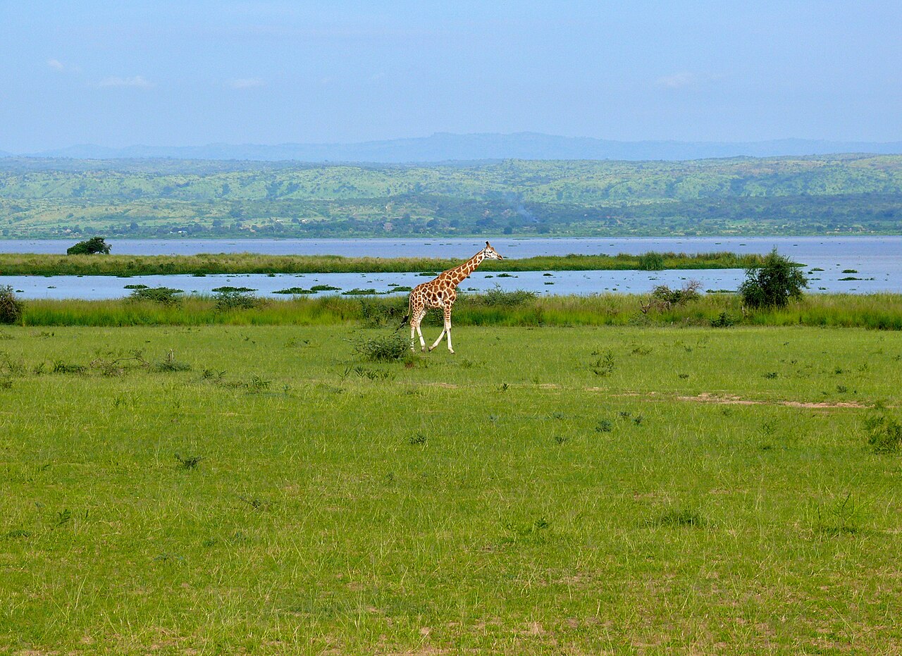 Lake Albert (Africa)